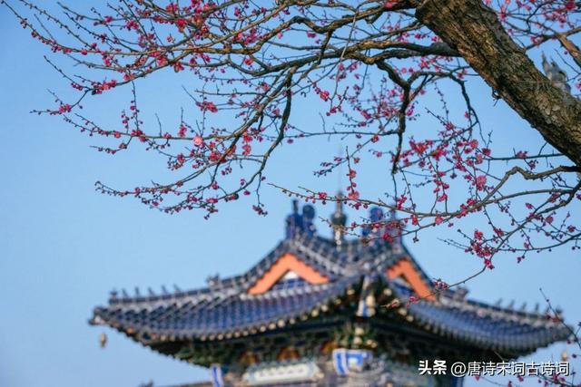 正月里来是新年，正月里来是新年啊大年初一头一天是什么歌（正月里来是新春）