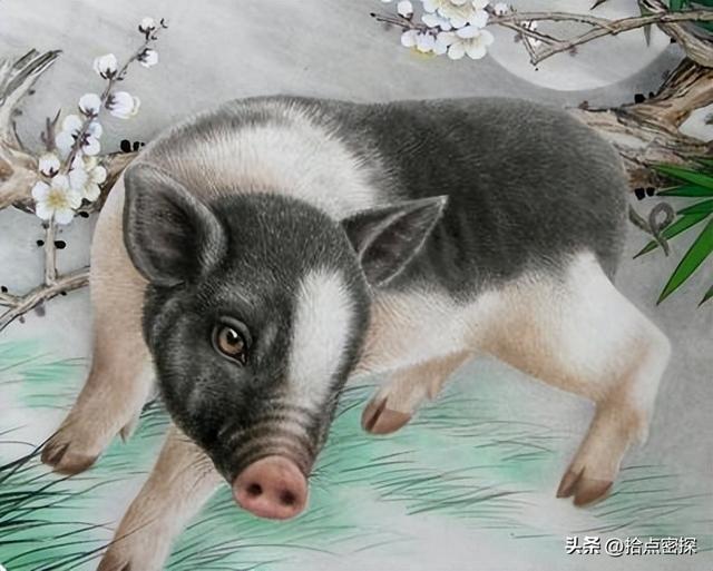 动物分为哪六大类，1000个动物名字（排列到底是按照什么顺序排列的）