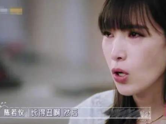 林志颖简历陈若仪简历，林志颖对陈若仪一见钟情