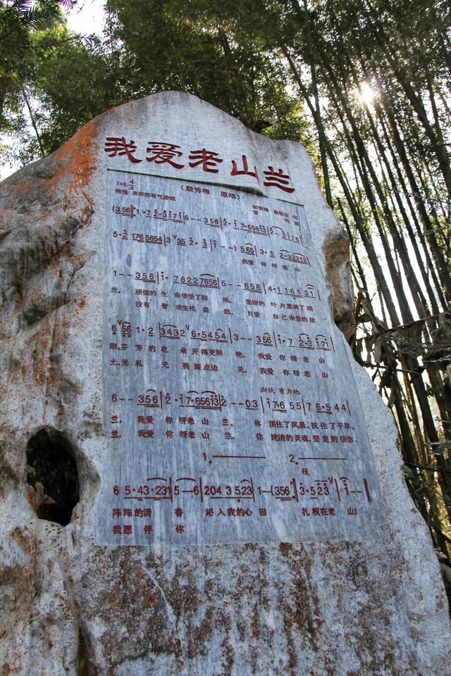 老山主峰风景，致敬英雄，寻访麻栗坡老山主峰