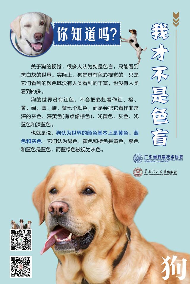 动物的语言有哪些,动物的语言有哪些说明方法(这些动物冷知识你了解吗