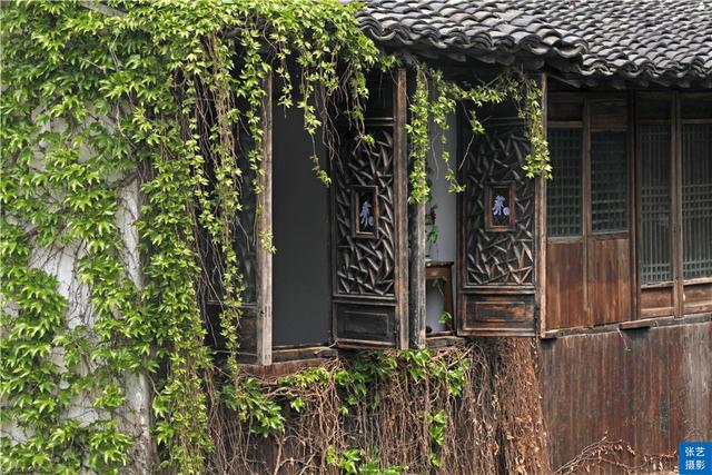 乌镇好玩吗，乌镇好玩吗值得去一下吗（素有“中国最后的枕水人家”之誉）