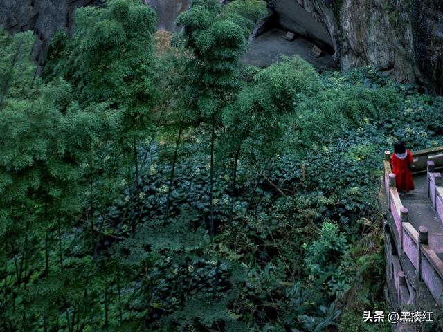 风蚀蘑菇地貌简介，风蚀蘑菇什么地貌（一个旅行者对“网红打卡地成夺命险地”的思考）