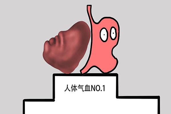 脾虚怎么调理，脾虚怎么调理吃什么药最有效果（对照3类脾虚）