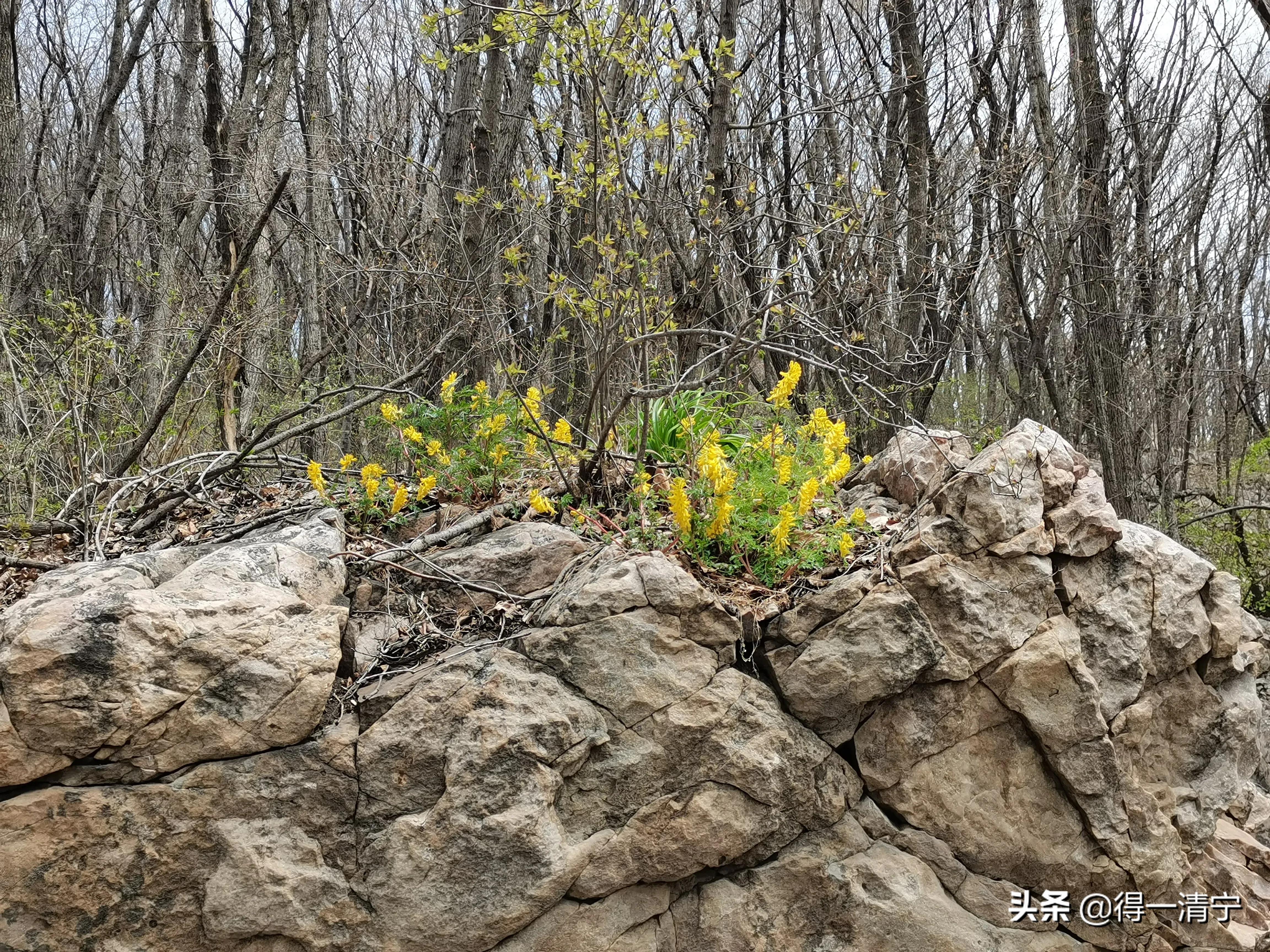 人与环境的关系(人与环境关系的重要性)