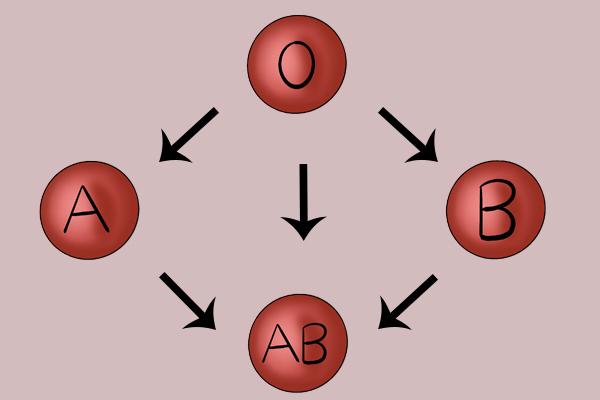 ABO什么血型，血型不同，患病风险也不同