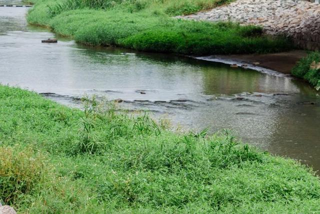 深圳旅游景点大全介绍，深圳的旅游景点有哪些地方（来深圳这10个地方玩吧）