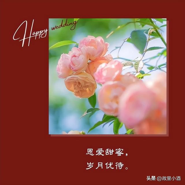 新婚祝福简短话，新婚祝福小短句（新婚祝福语：举案齐眉）