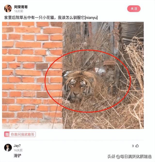 别扒拉我恐龙情侣头像，恐龙情头微信（神回复：这是什么样的古董）