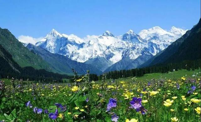 暑假去哪里旅游好，暑假去哪里旅游好玩2021（最适合去的12个美景地）