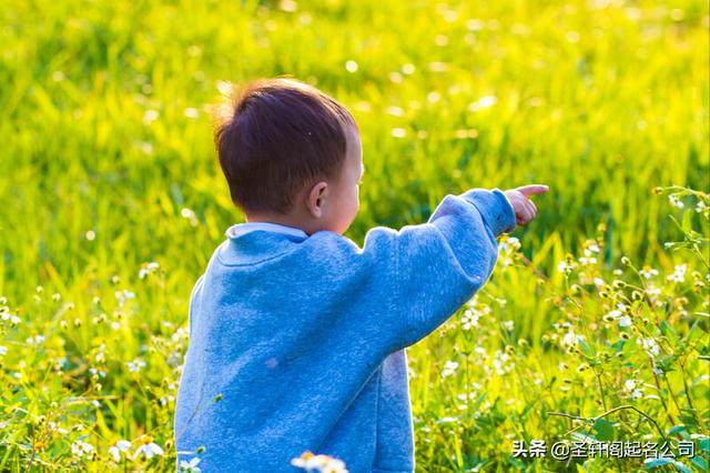 拖什么意思解释，拖字笔画笔顺（寓意非凡的男孩名字大全）