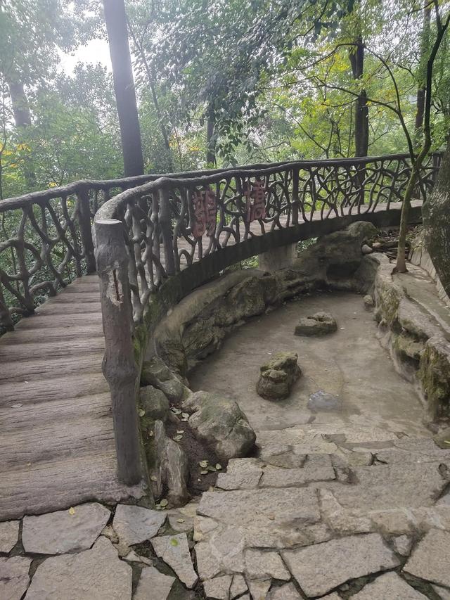 歌乐山森林公园，重庆旅游必去景点（歌乐山国家森林公园）