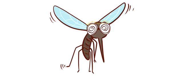 蚊香液怎么用正确，蚊香液怎么用正确用法（究竟哪款安全又有效）