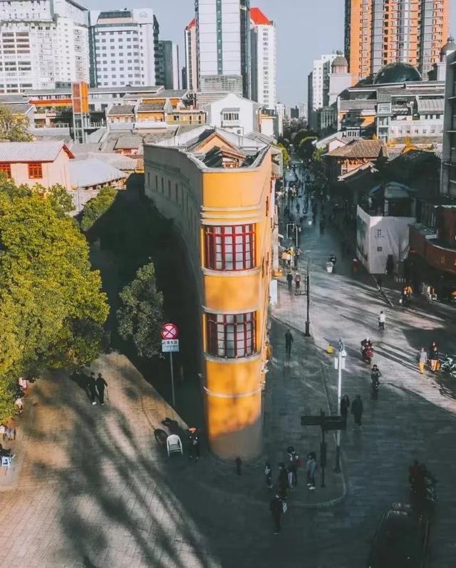 云南最好吃的野生菌在哪，中国最浪漫城市非她莫属