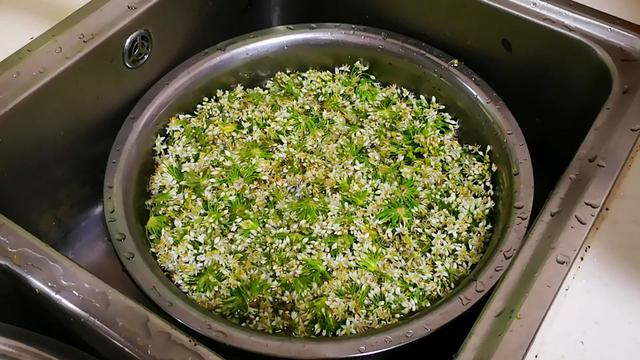韭菜花酱怎么吃，韭菜花酱怎么做好吃（碰到韭花别错过）