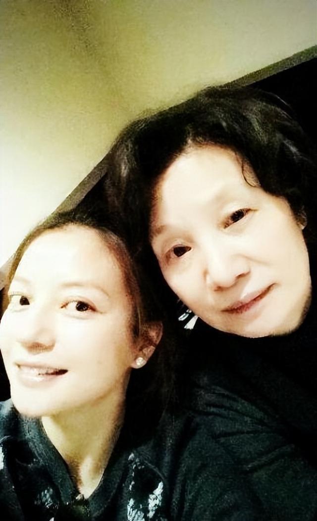 赵薇个人资料简介，女演员赵薇个人资料（儿子离婚分走5.2亿）