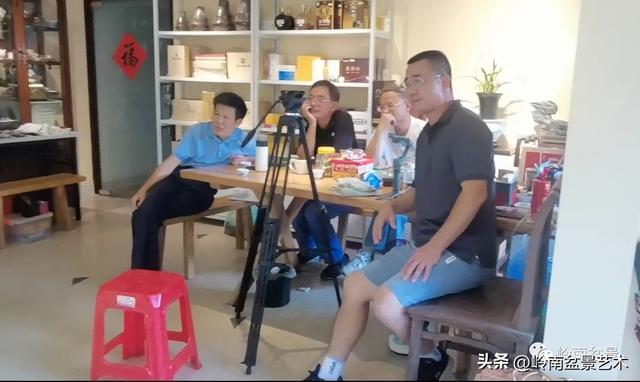 黑骨茶盆景怎么养护，黑骨茶盆景怎么养护视频（一棵黑骨茶盆景的改作引来老中青少四代树痴乐此不疲）