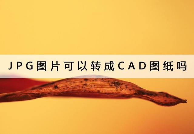 cad导入ps，将cad文件导入到photoshop（JPG图片可以转成CAD图纸吗）