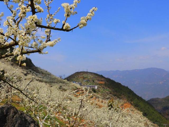 重庆旅游路线，重庆旅游路线图简笔画（重庆出游去哪好玩5条线路为您推荐）