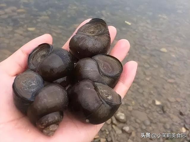 二月十九是什么日子，二月十九什么日子（老人说：做好3事）