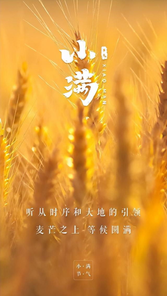 花诗歌，生如夏花诗歌（夹竹桃花正盛开）