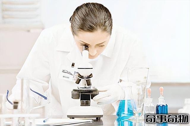 奇事奇物网，奇事奇物网上海龙柱（科学家创造金属细胞已有生命迹象）