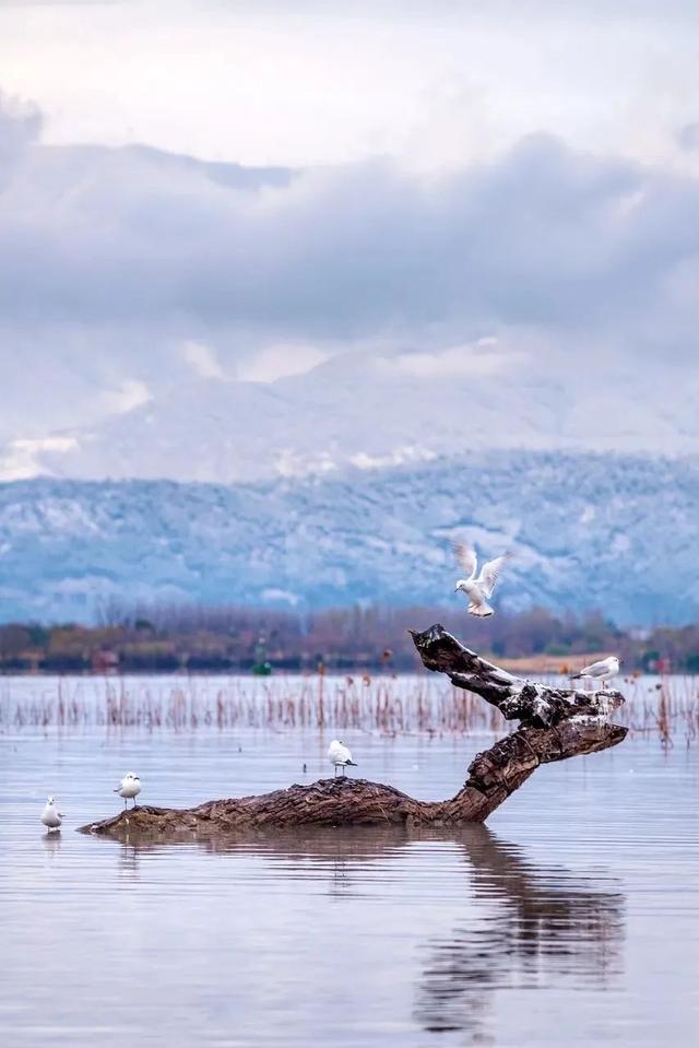 七八月份最适合旅游的地方，7-8月最适合旅游的地方（探索天地间的五光十色）