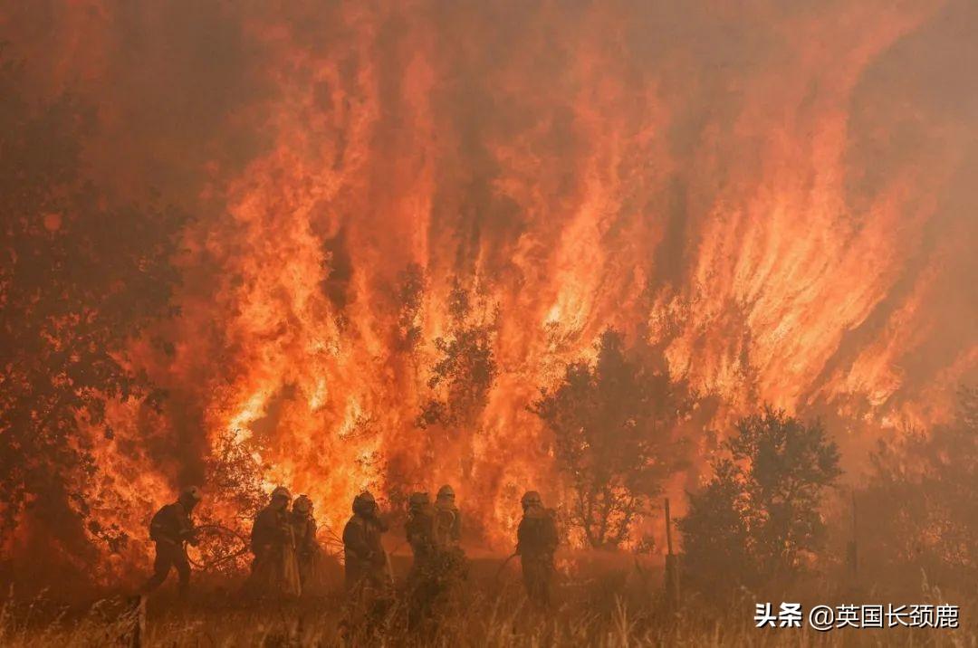 汀普莱斯（英国红色预警40度）