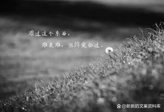 情绪低落想哭怎么办，为什么会情绪低落想哭（越看越想哭的催泪文案）