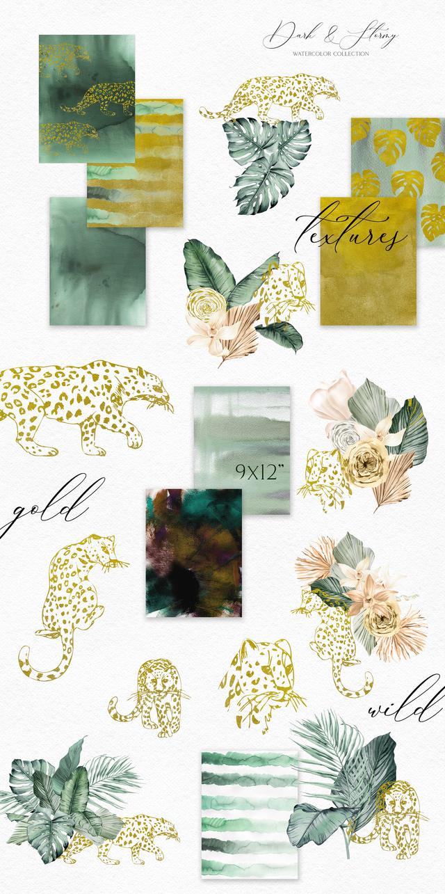 滴水观音价格，北欧插画丨梦幻般的热带雨林（滴水观音价格1.5米）