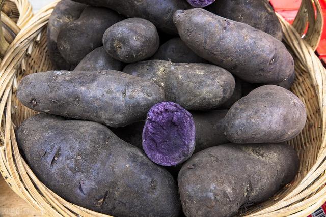 土豆什么时候种，土豆什么时候种好（如何选择特色土豆品种）