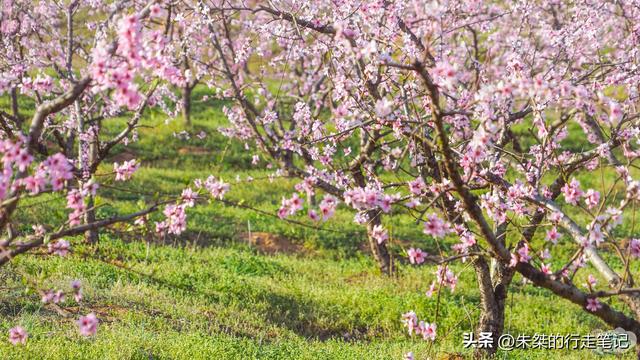 六安旅游景点哪里好玩，六安必游景点（自驾800公里大别山风景道必去之地）