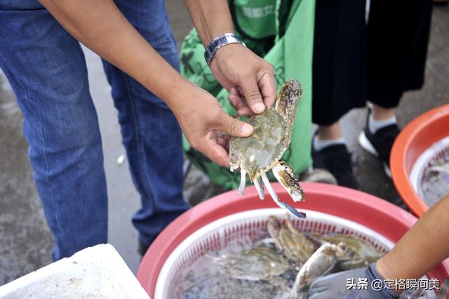 青岛大虾是什么虾，青岛大虾几月份最好吃（海鲜记住“两买两不买”）