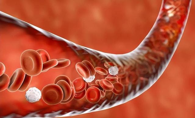 每天早上喝一杯盐开水有什么好，每天早晨一杯盐开水的好处（或与你想象的不一样）