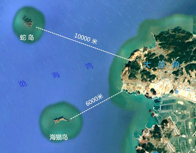 蛇岛的中国蛇岛，中国境内的蛇岛（2万毒蛇齐聚0.8平方公里小岛）