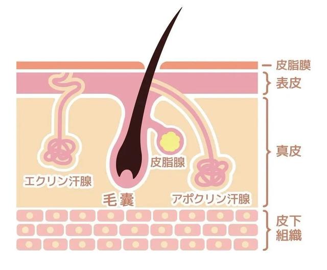 薇婷脱毛膏正确使用方法，薇婷脱毛膏正确使用方法图解（5款爆火脱毛产品真人实测）