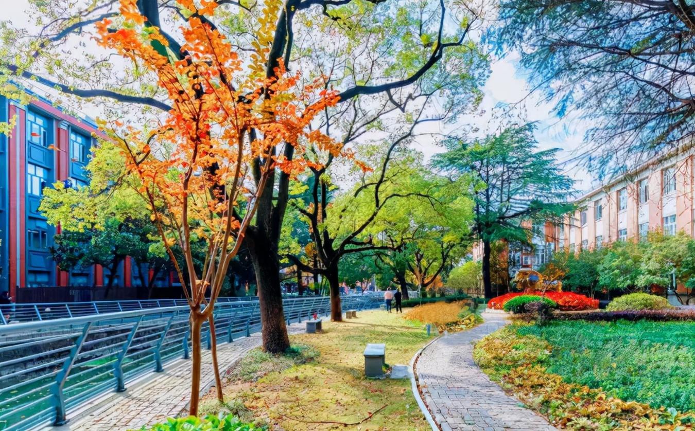 华东理工大学自主招生（拥有70年历史）