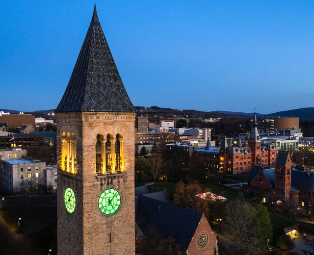 申请国外大学需要什么条件，申请国外大学（3所藤校不在Top10）