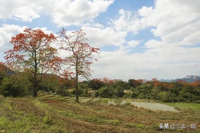 回暖是什么意思，回南天气是什么意思（天气预报：再等一天）