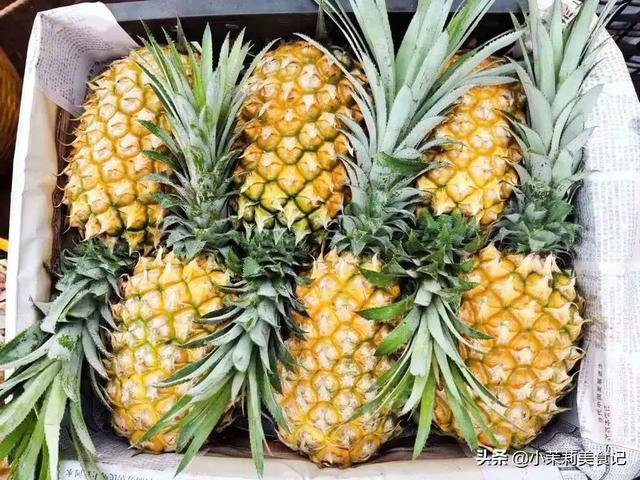 菠萝原产地是哪里，菠萝的出产地是哪里（全国哪的菠萝最好吃）
