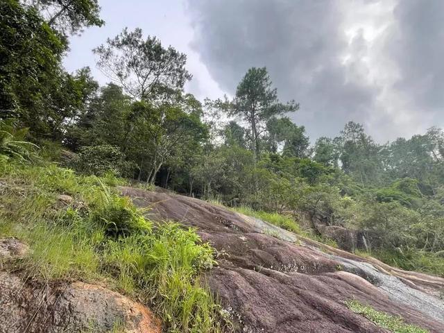 五桂山自然风景区，五桂山自然风景区收费吗（中山有一个世外桃源）