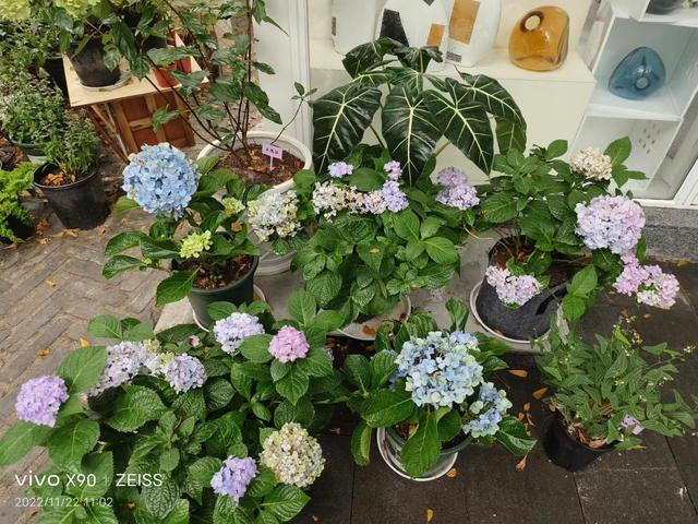 vivo拍照设置显示时间，vivo手机拍照片怎么添加时间和地点水印（影像升级，性能拉满：vivo）