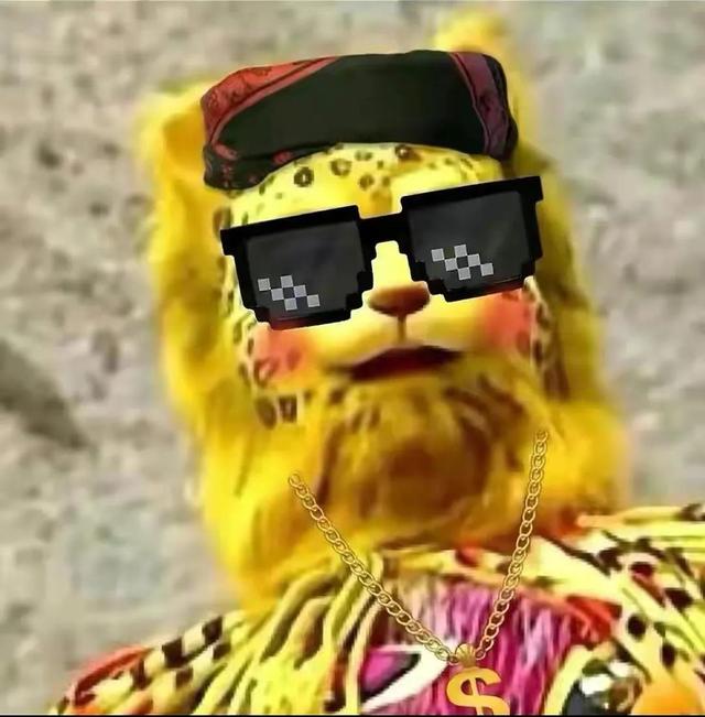 金钱豹头像图片，金钱豹头像✨微信（最全金钱豹头像！请叫我谢谢）