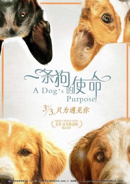 关于狗狗的电影有哪些，狗狗主演的电影都有哪些（每一部都让你情不自禁地爱上狗）