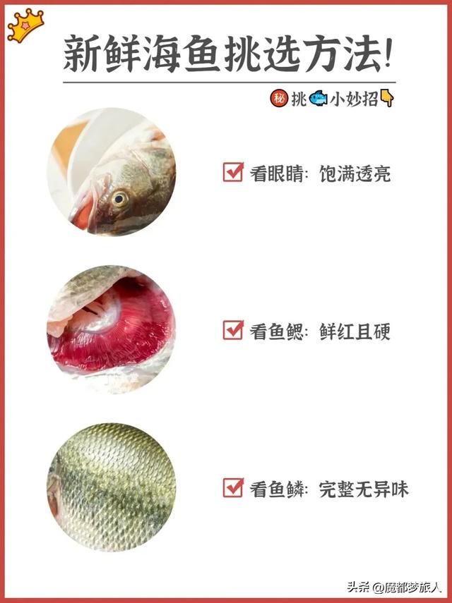 常见的海鱼120种，科普下常见海鱼品种。