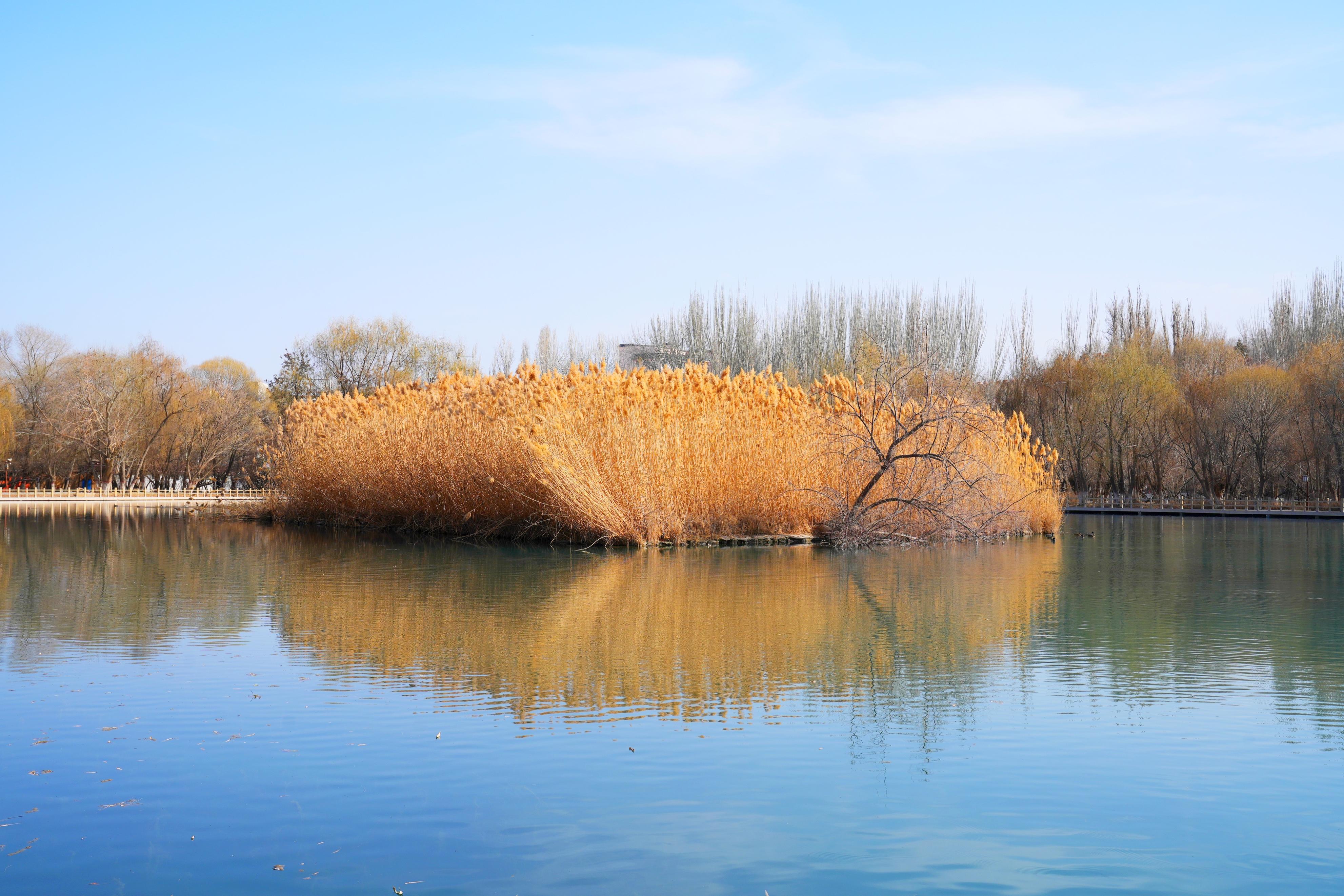 新疆旅游哪里好玩(新疆有两个特别的景区) - 悦闻天下