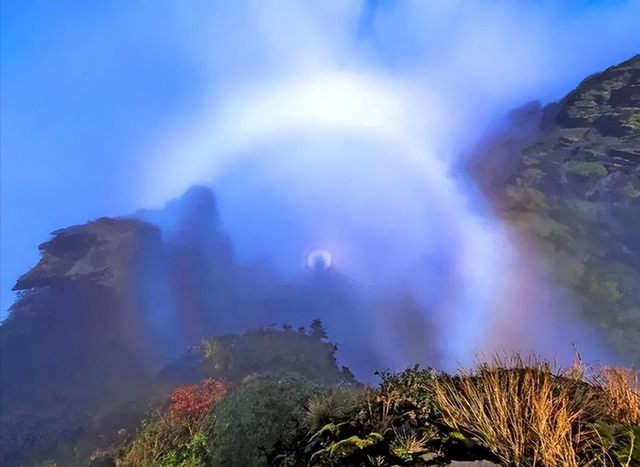 中国五大佛教名山，佛教五大名山简介（五大佛教名山是哪些山）