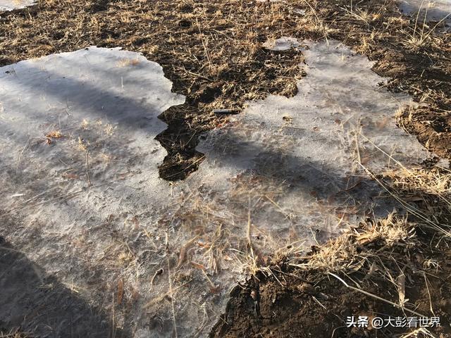 腾格里沙漠攻略，腾格里沙漠旅游攻略（见过腾格里沙漠的一年四季吗）