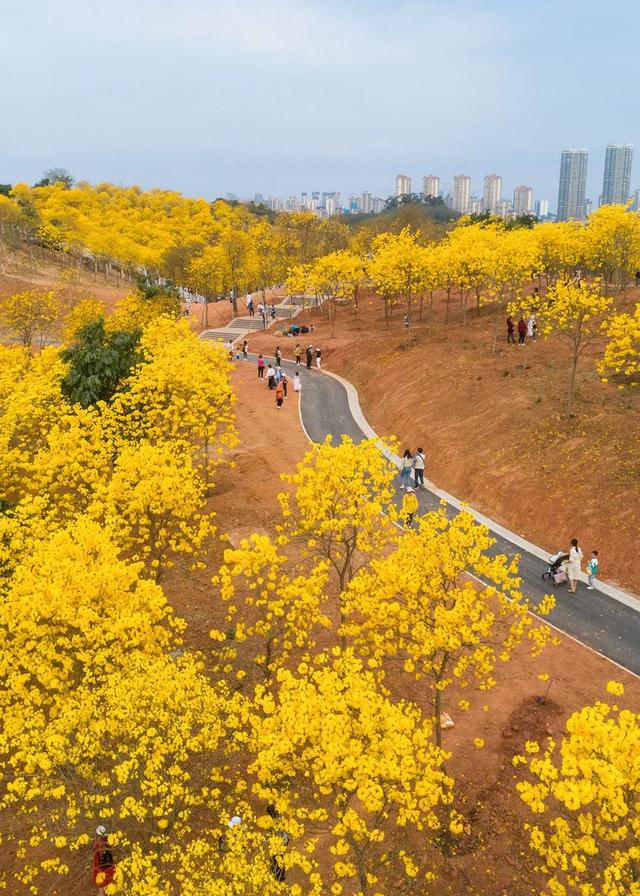 广西有哪些景点值得去，广西有哪些景点值得去看（快把广西这些游玩不累、老少皆宜的山湖美景安排上~）