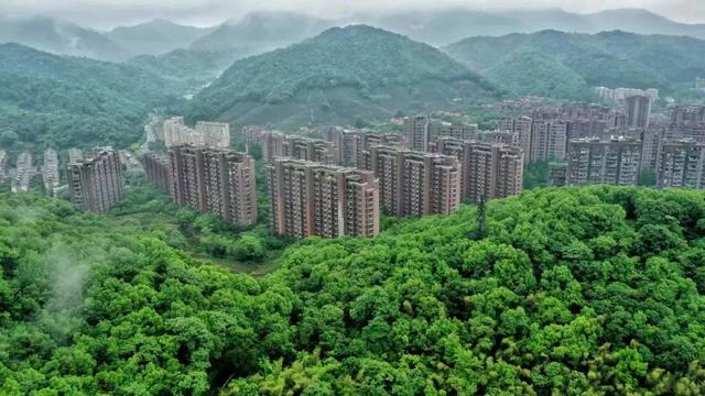 圆的寓意和含义，圆的寓意和含义英语（却也暴露了我们真正在乎谁）